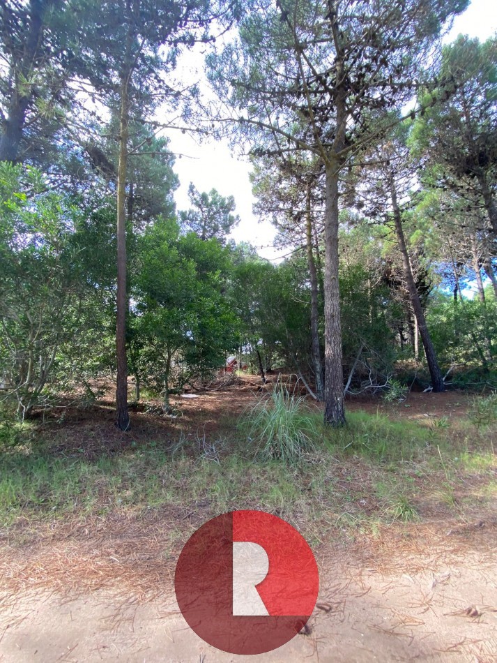 Lote en pinamar