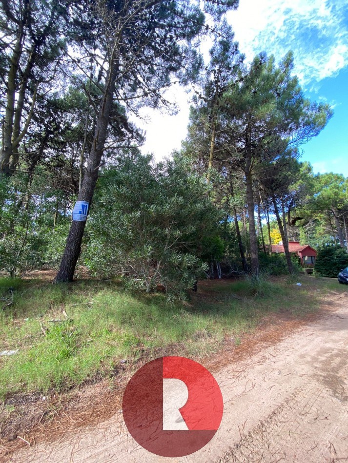 Lote en pinamar