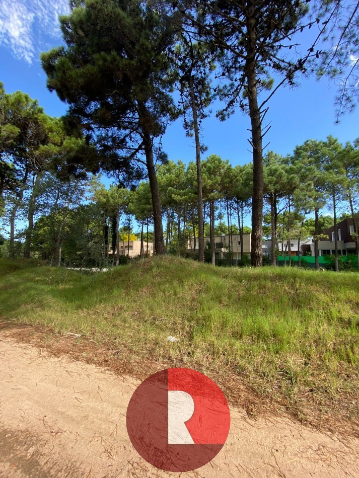 Lote en pinamar