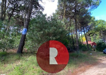 Lote en pinamar