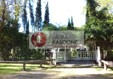 CASA DE UNA PLANTA EN CARILO