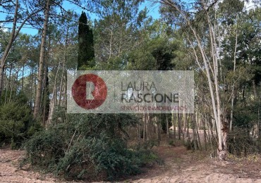 OPORTUNIDAD -LOTE EN BARRIO LOS ENEBROS -CARILO´-